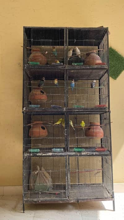 8 portion Cage with Birds all are breeder pairs