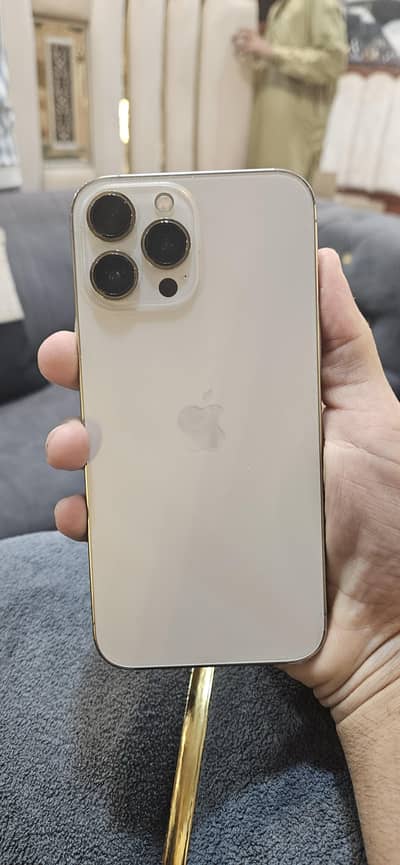 Apple iPhone 13 Pro Max