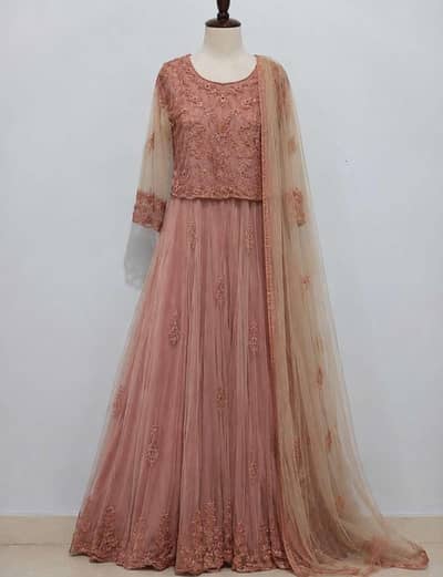 Dusty Pink Net Maxi with Embroidered Dupatta – Small Size