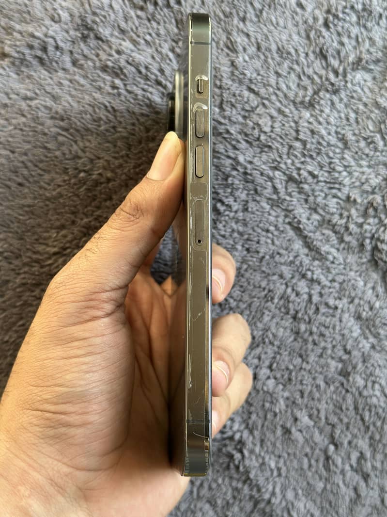 Apple iPhone 13 Pro Max 1