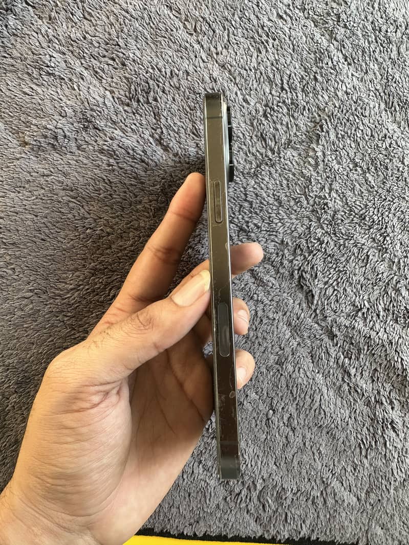 Apple iPhone 13 Pro Max 6