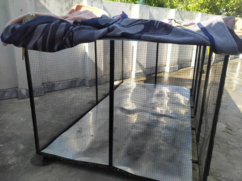 iron cage 1