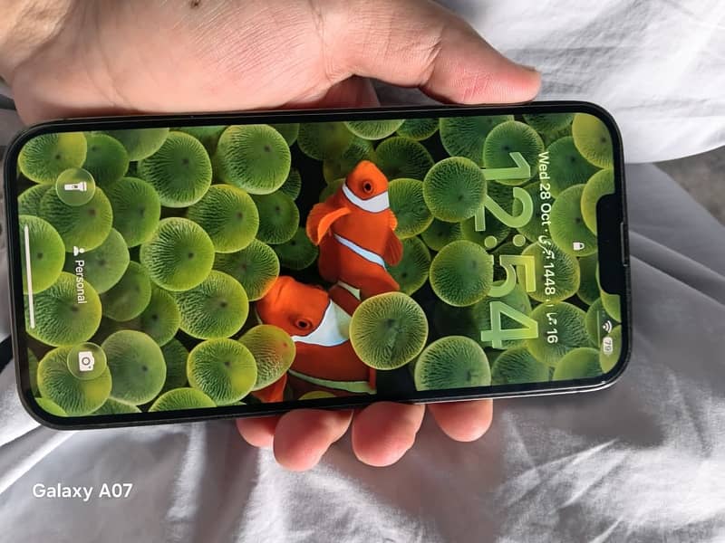 Apple iPhone 13 Pro Max 2