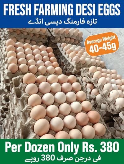 Desi Eggs for sales