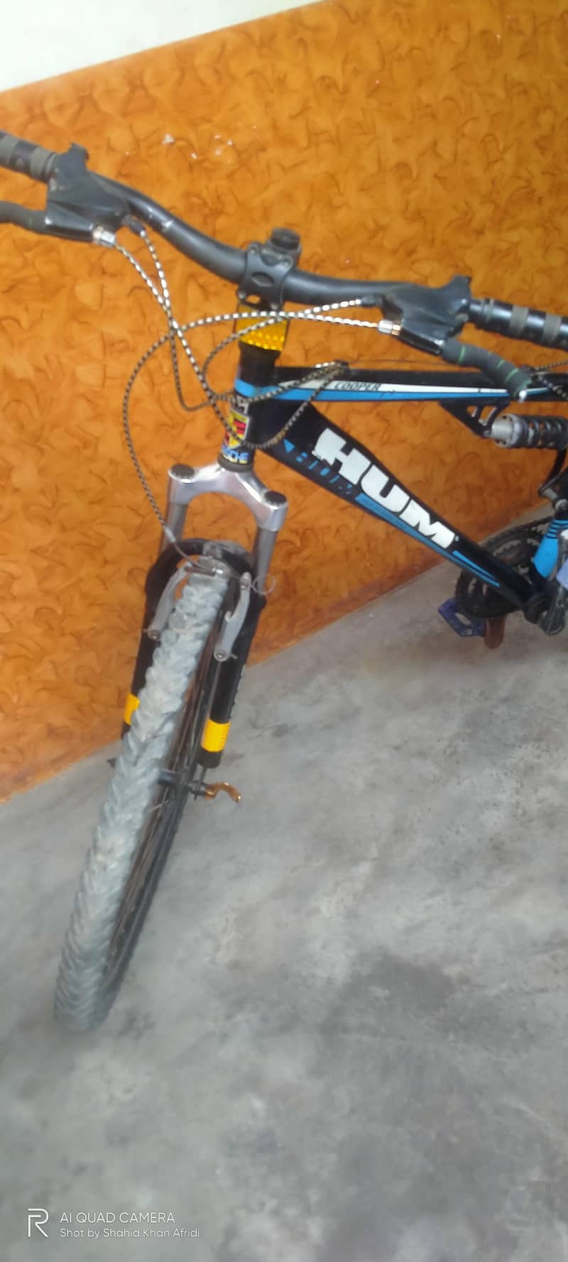 Bicycle 7
