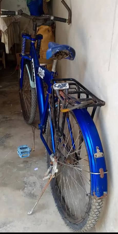 Cycle 4