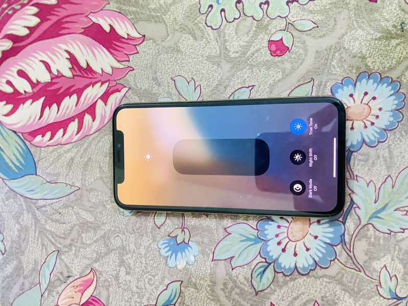 Apple iPhone XS 1