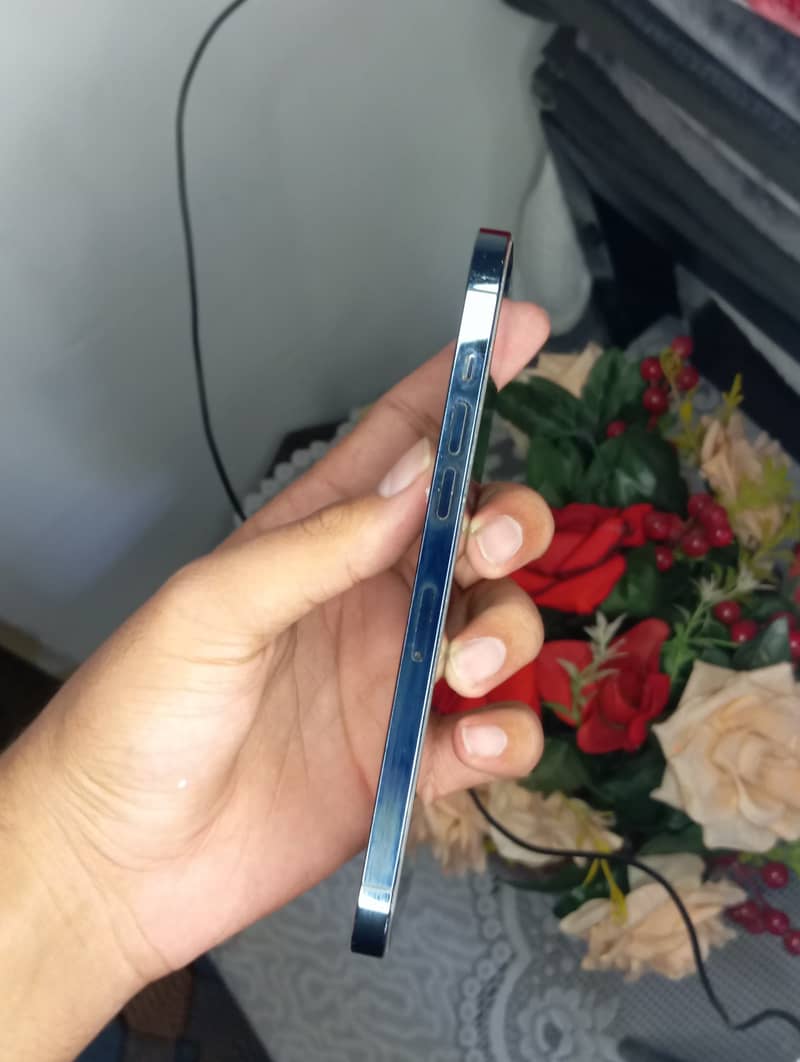 Apple iPhone 12 Pro Max 1