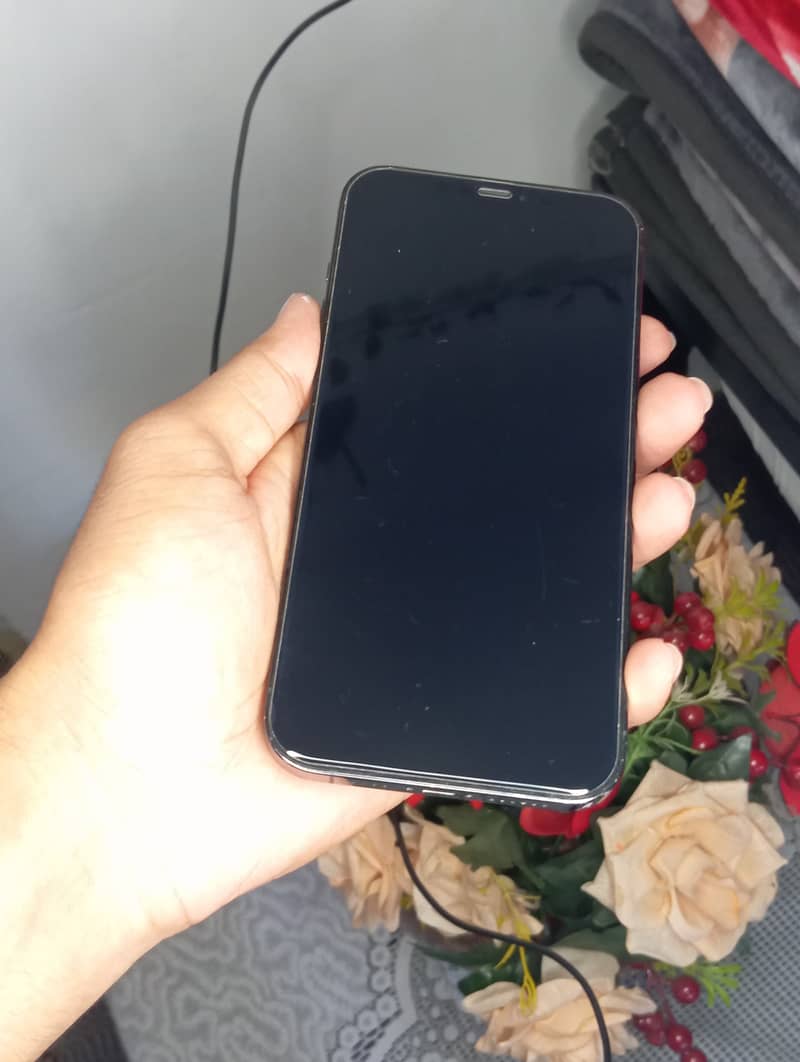 Apple iPhone 12 Pro Max 2