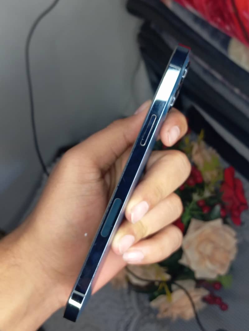 Apple iPhone 12 Pro Max 3