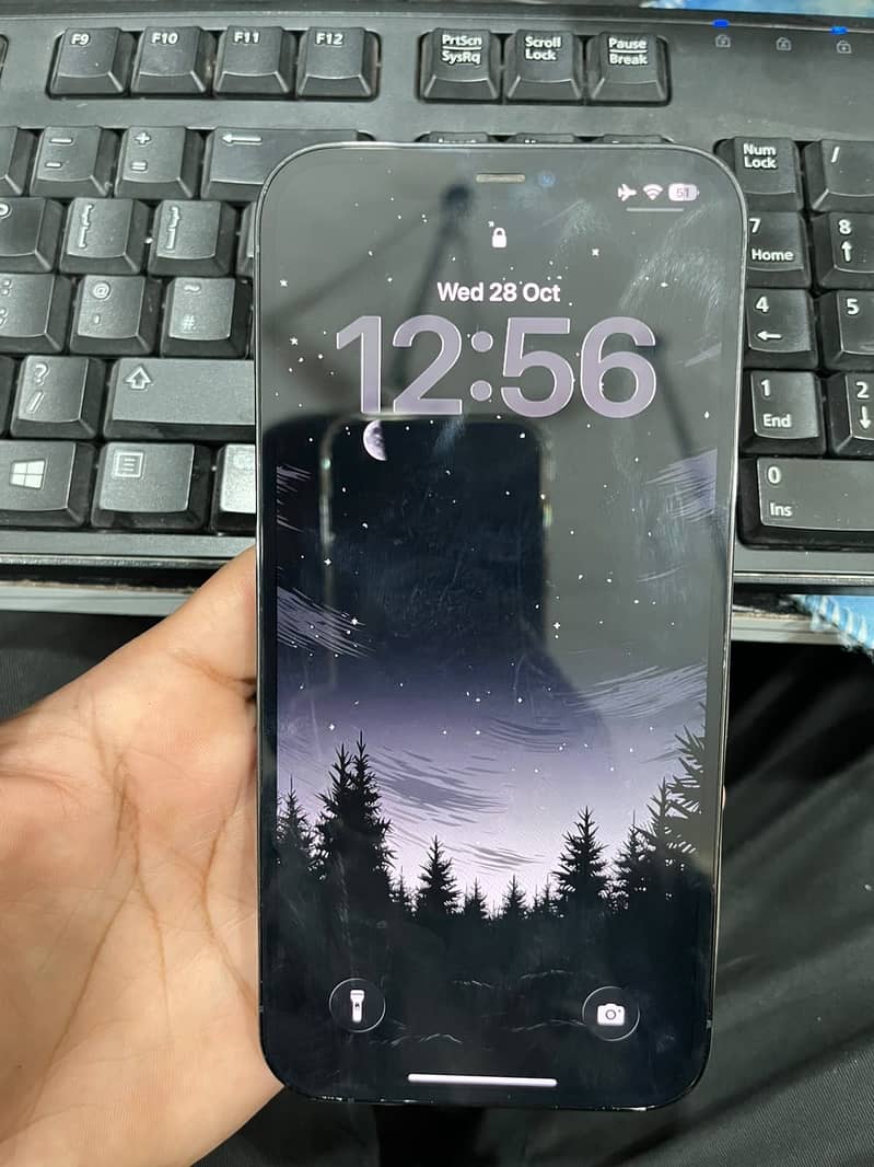 Apple iPhone 12 Pro Max 1
