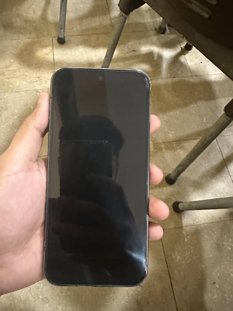 Google Pixel 9 Pro XL 1