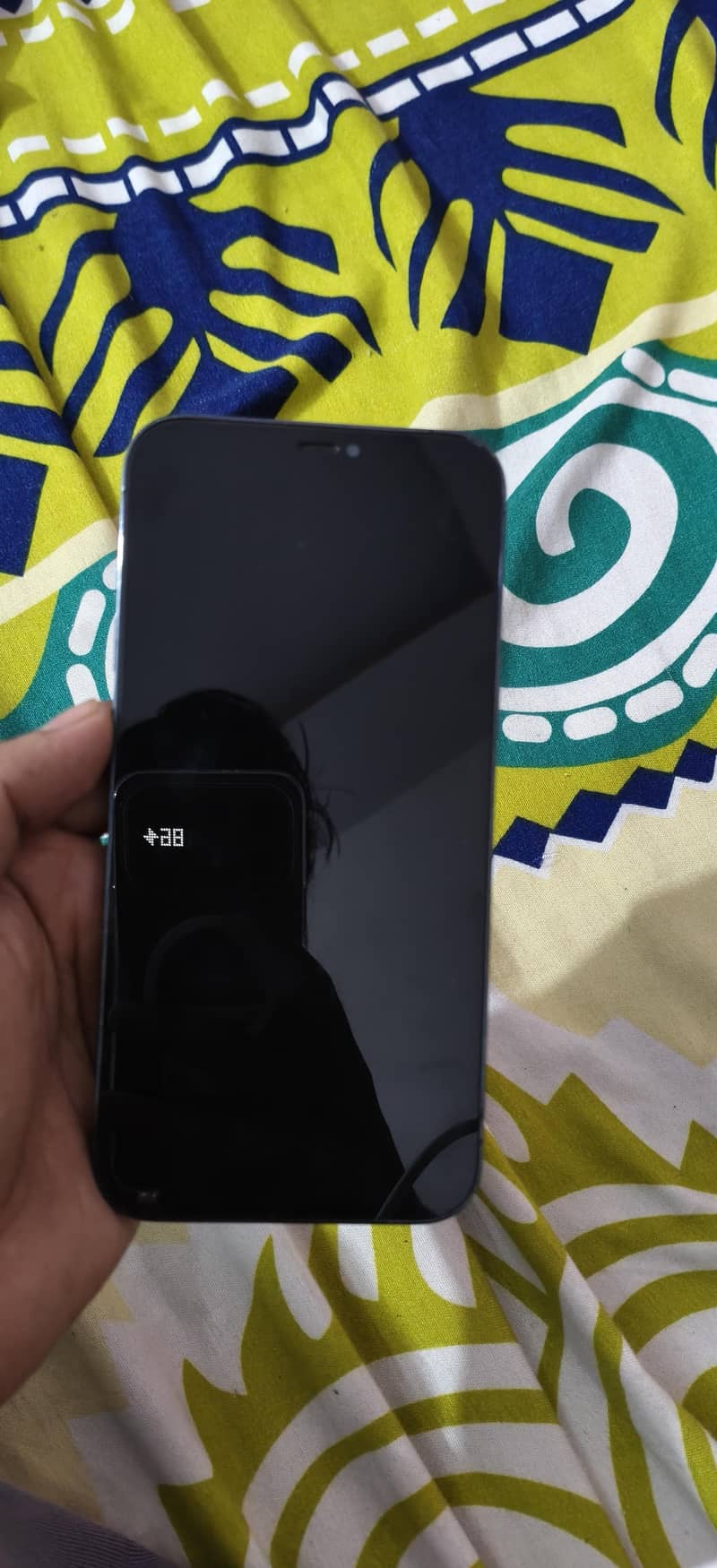 Apple iPhone 12 Pro Max 1