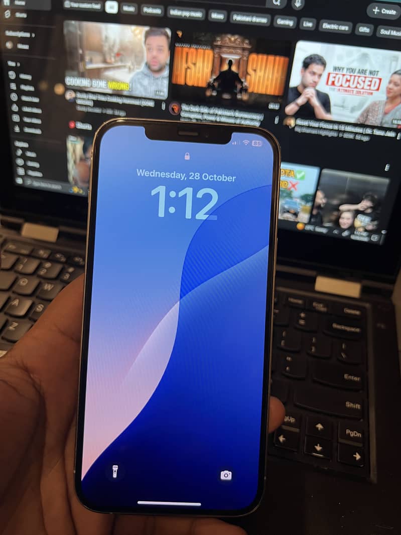 Apple iPhone 12 Pro Max 1
