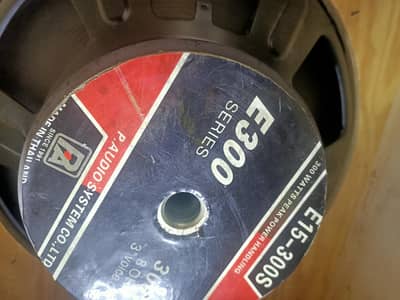 15inch 300watt speaker