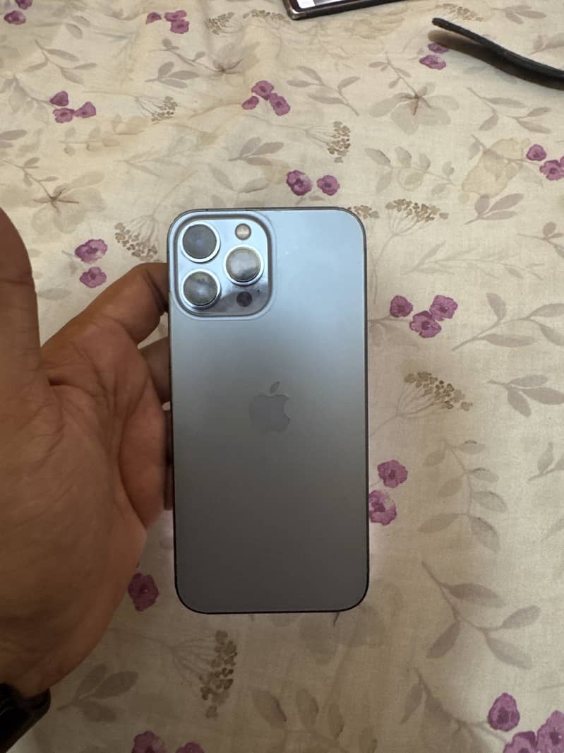 Apple iPhone 13 Pro Max 1