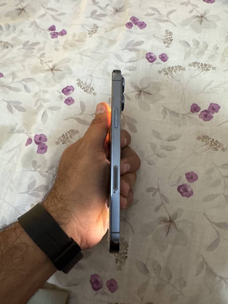 Apple iPhone 13 Pro Max 2