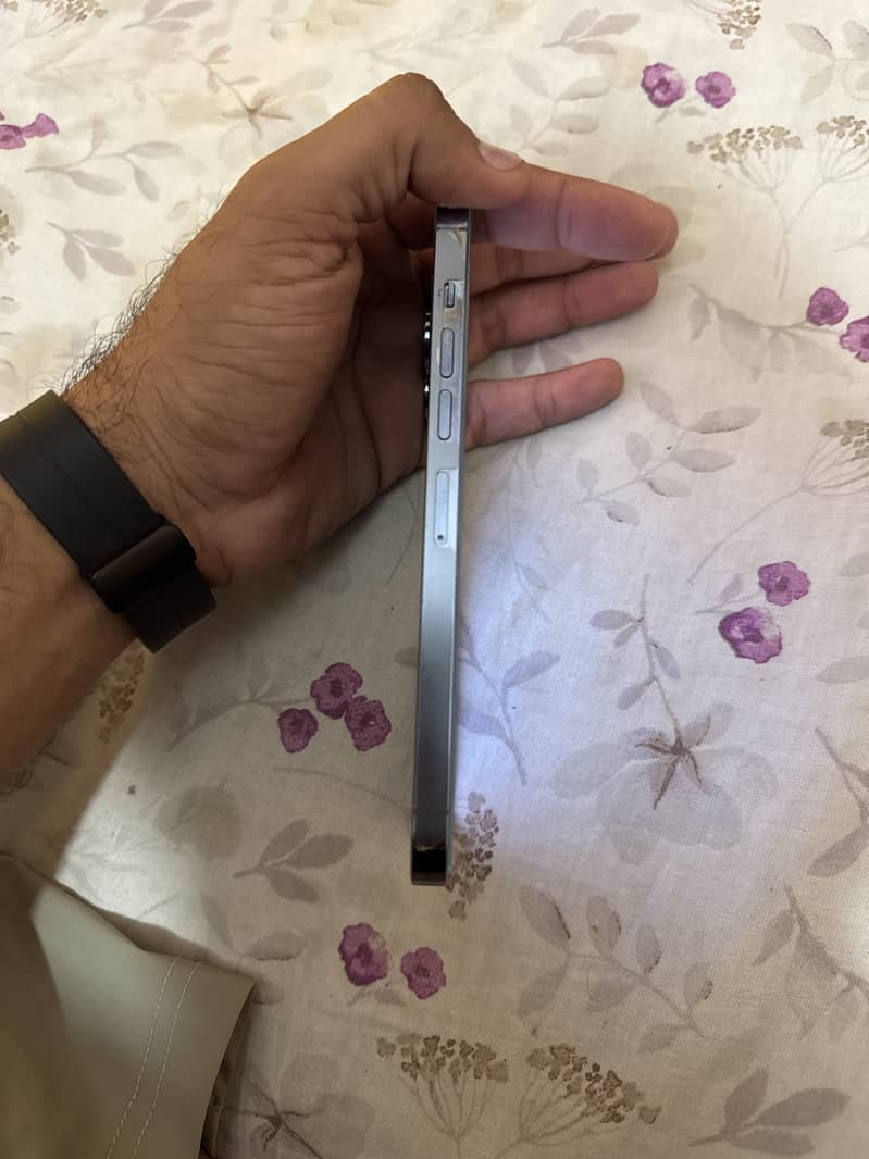 Apple iPhone 13 Pro Max 3