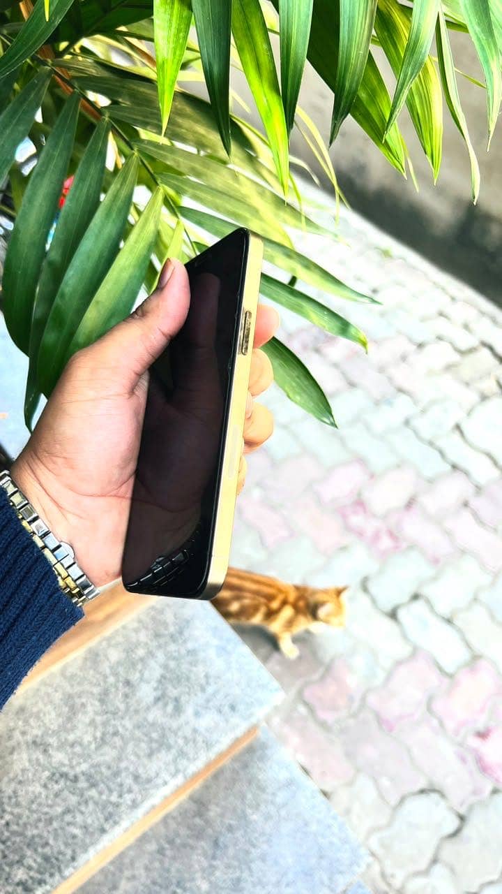 Apple iPhone 12 Pro 4