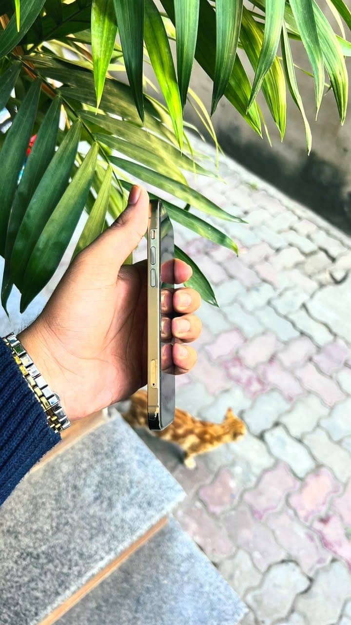 Apple iPhone 12 Pro 1