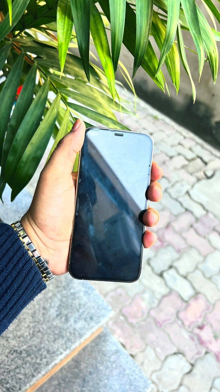 Apple iPhone 12 Pro 3