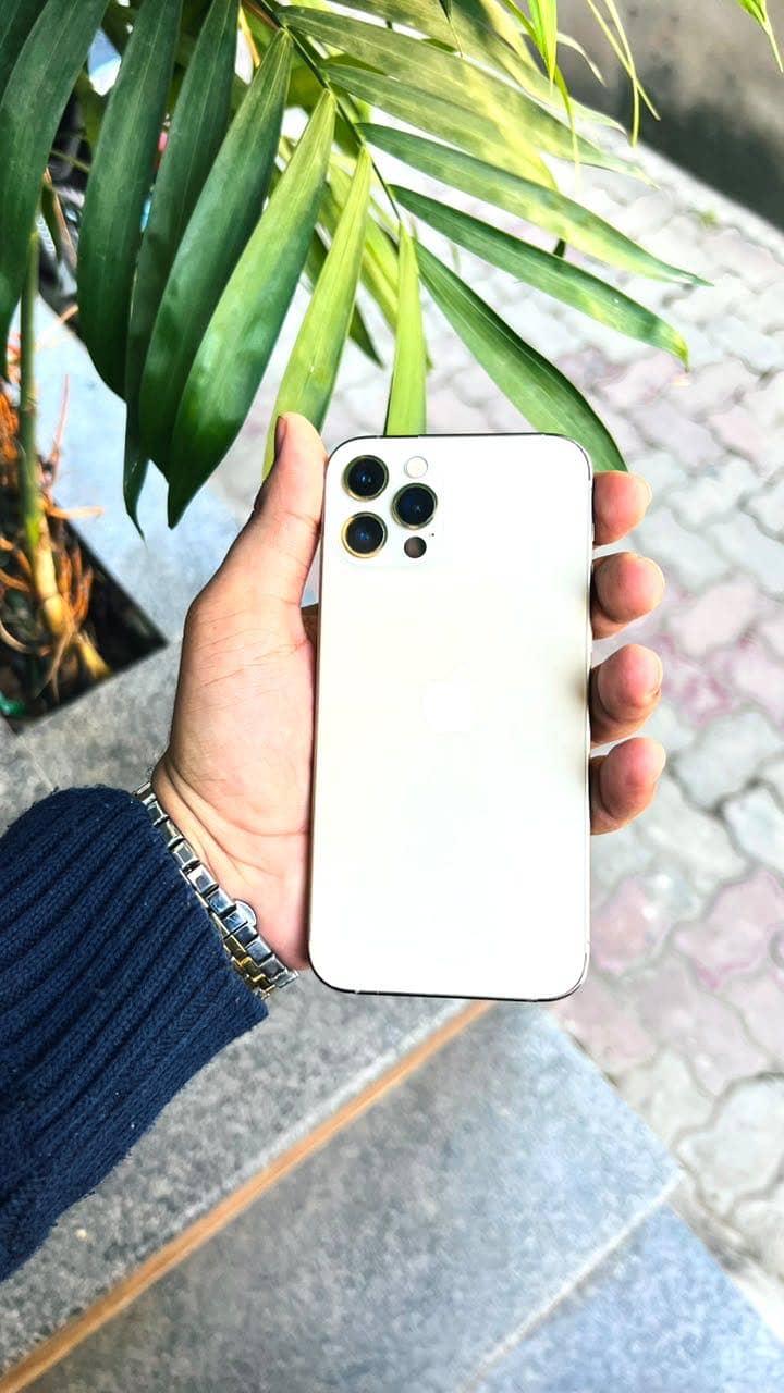 Apple iPhone 12 Pro 0