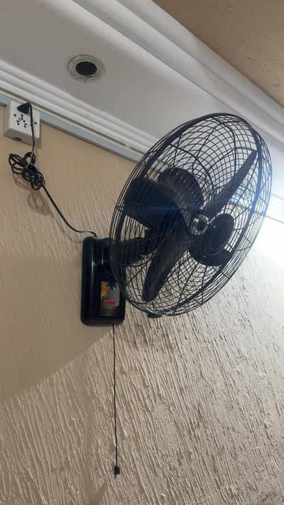 Royal Bracket / Wall Fans for Sale – PKR 6,000 Each – 3 Available
