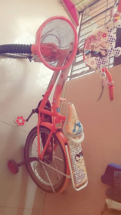 Beautiful Pink Red White Princess Kids Bicycle with Basket