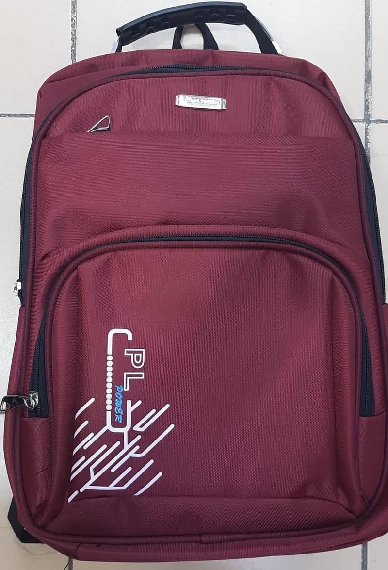 Back pack computer bag 2
