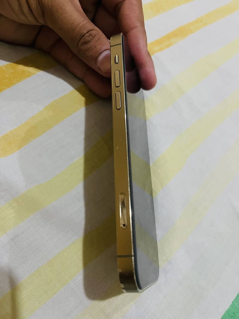 Apple iPhone 12 Pro 3