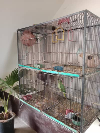 The aviary is for sale, but the birds inside are not for sale.