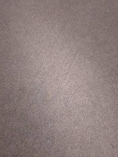 gray colour one piece carpet