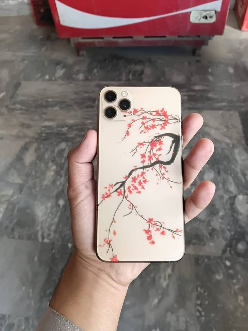 Apple iPhone 11 Pro Max 1