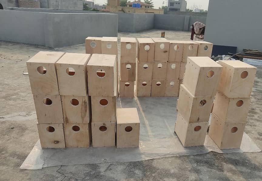 Birds Breeding boxes/ breeding boxes 0