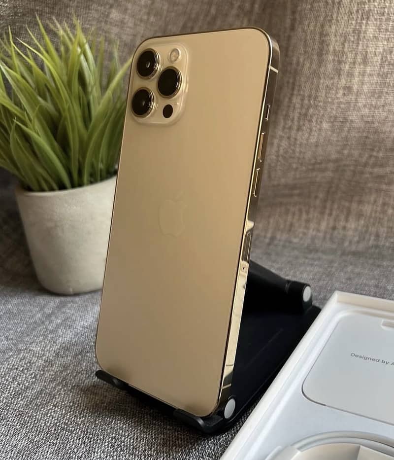 Apple iPhone 12 Pro Max 1