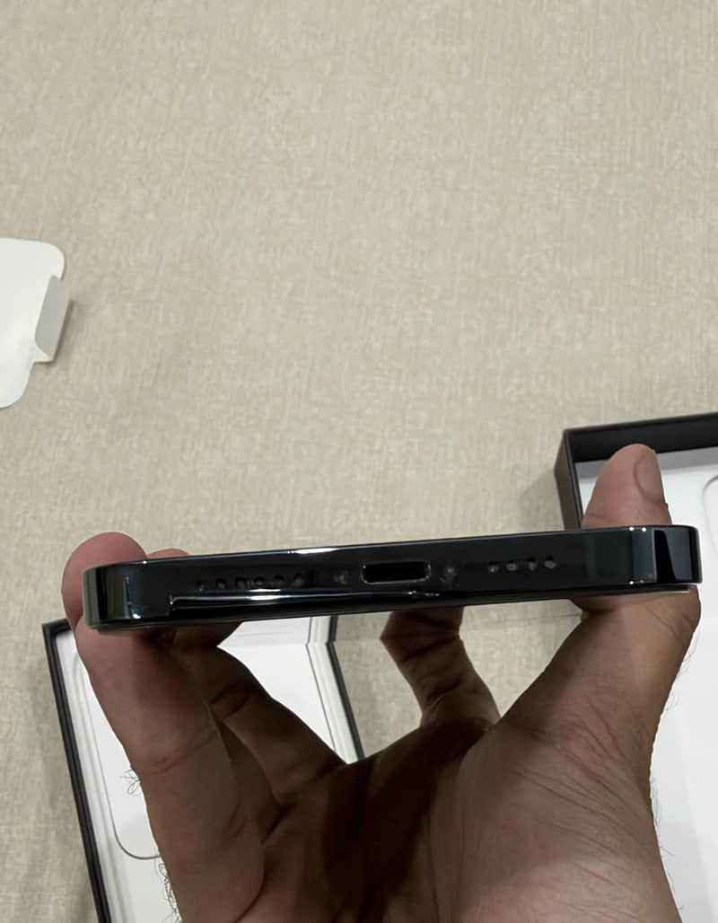 Apple iPhone 12 Pro Max 1