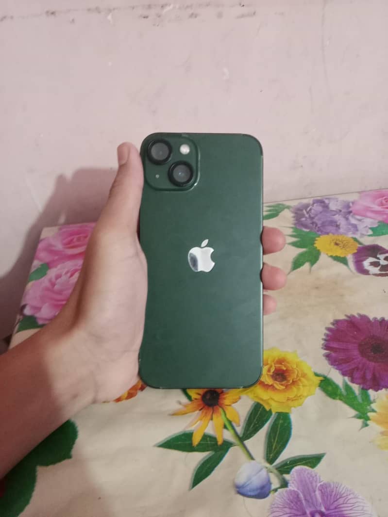 Apple iPhone 13 0