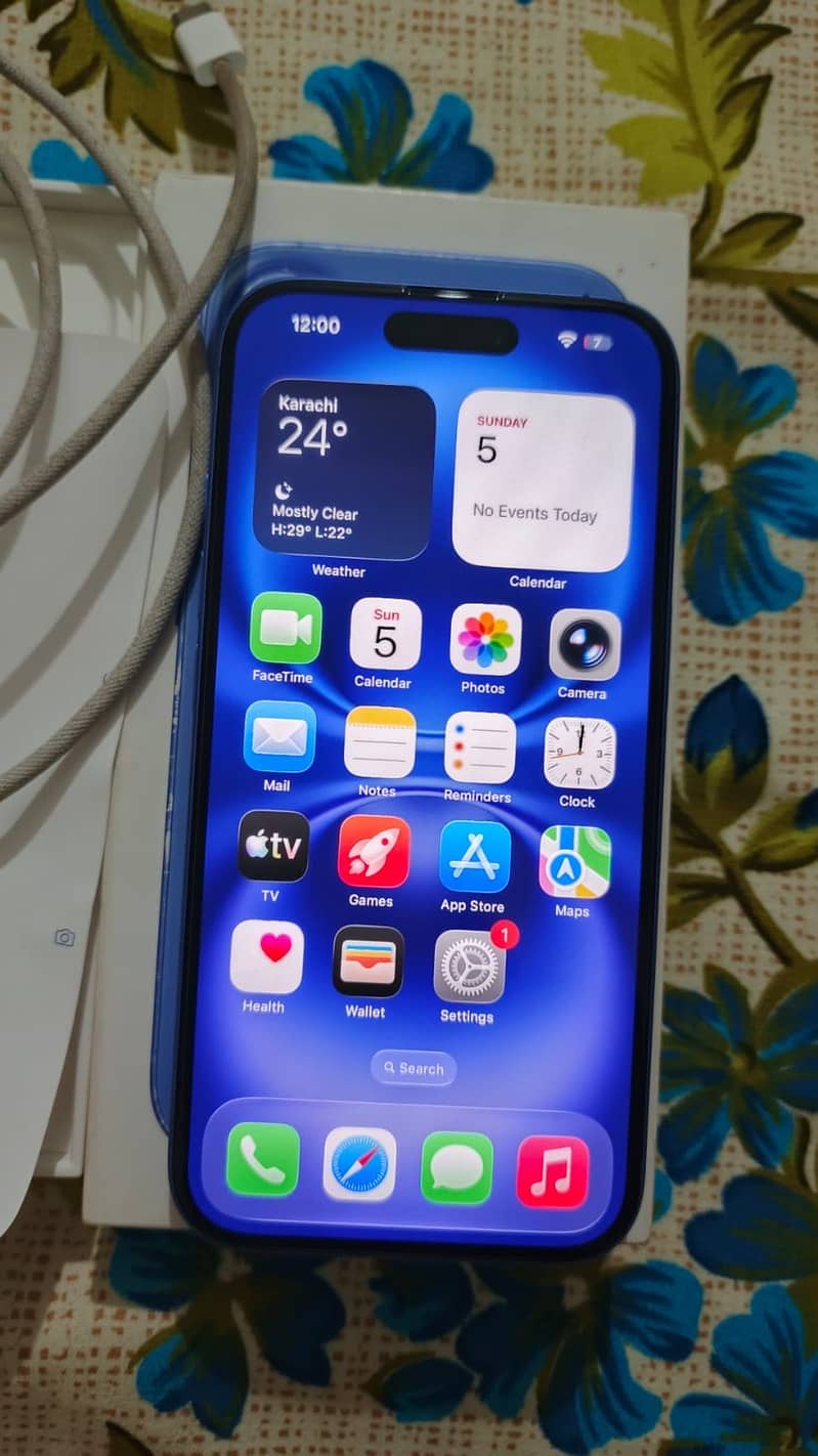Apple iPhone 16 1