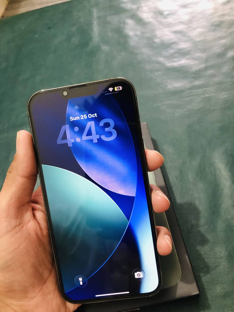 Apple iPhone 13 Pro Max 1