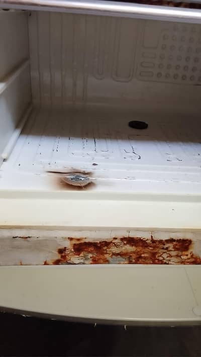 dawalnce fridge