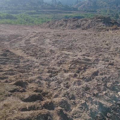 Manshra land for sale 80 kanal
