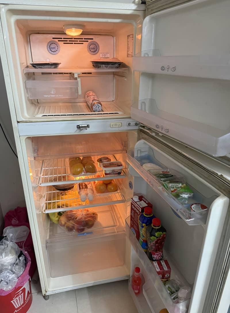 Fridge freezer 1