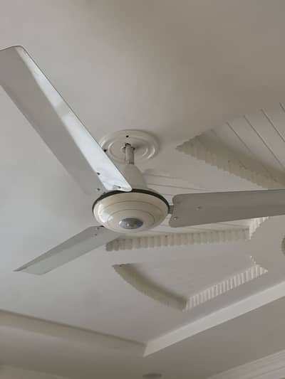 Brand New Celling Fans
