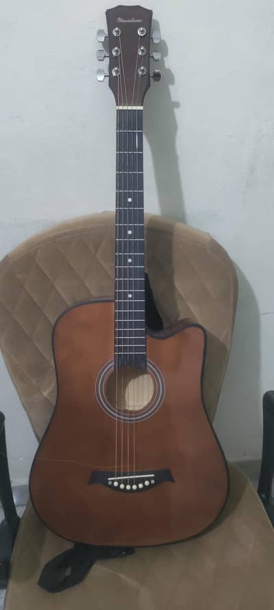 Acoustic guitar