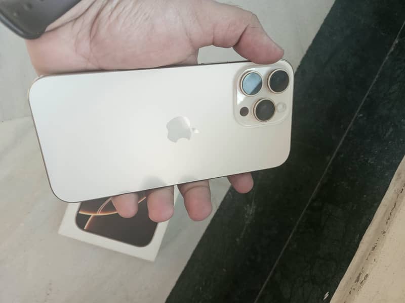 Apple iPhone 16 Pro Max 1