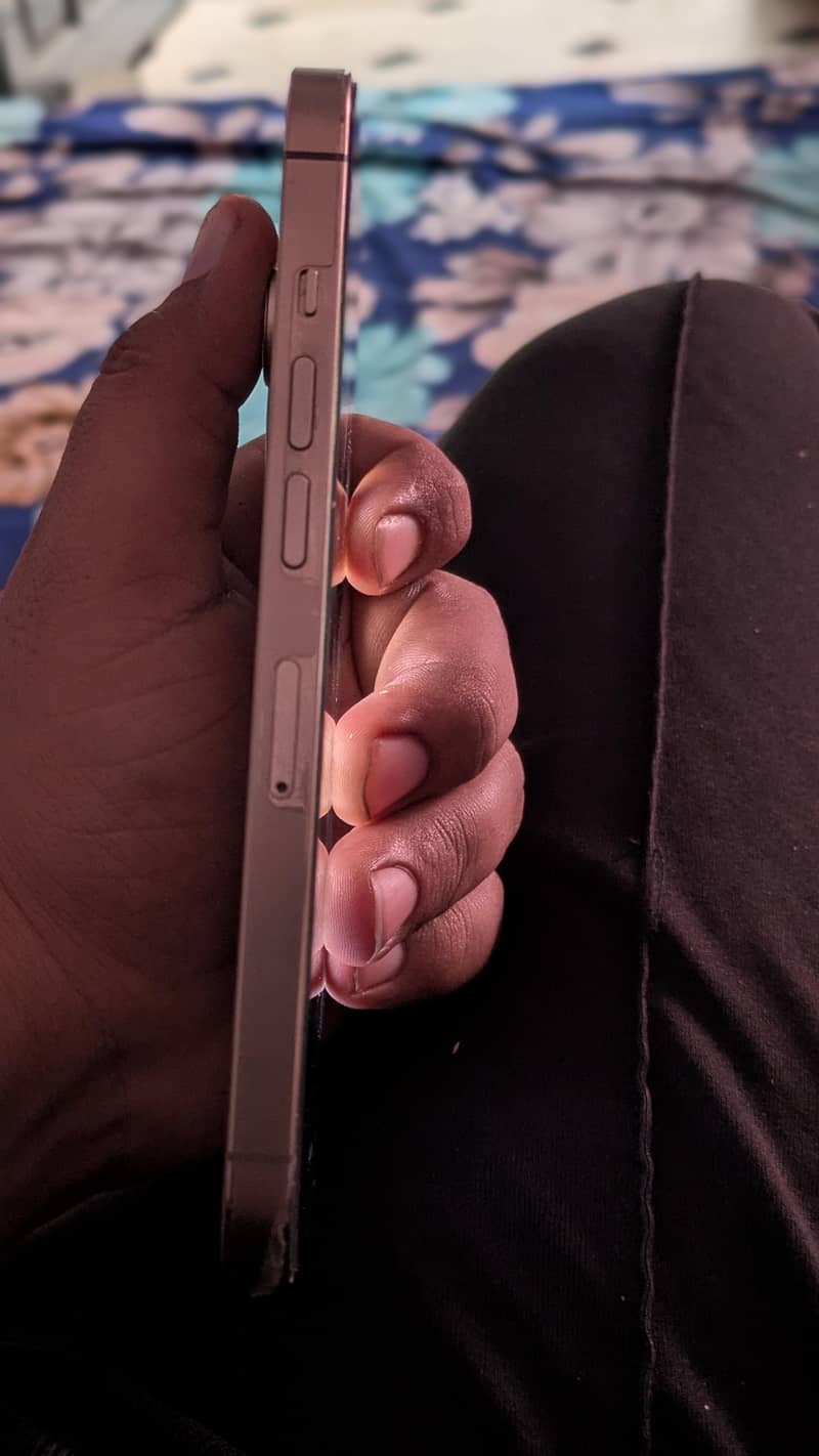 Apple iPhone 13 Pro 2
