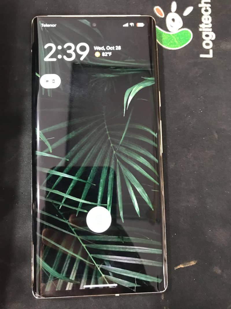 Google Pixel 6 Pro 1