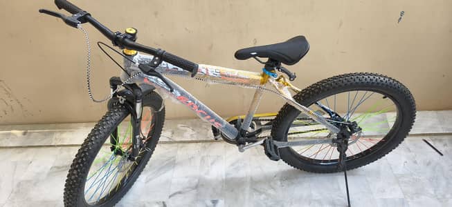 Brand New Bycycle Pride Focus