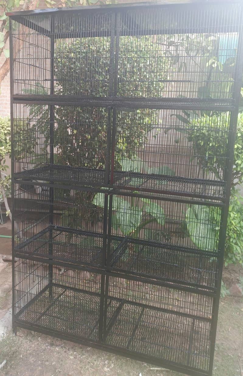 Birds Cage 0