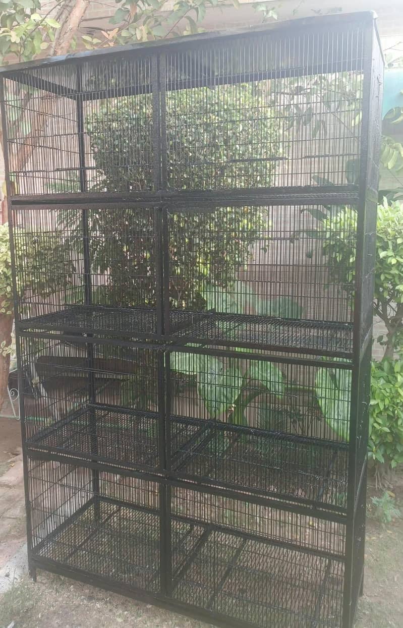 Birds Cage 1